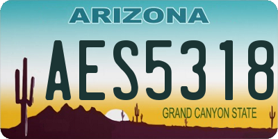 AZ license plate AES5318