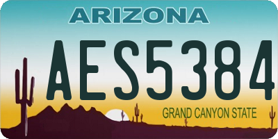 AZ license plate AES5384