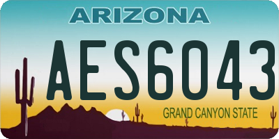AZ license plate AES6043