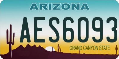 AZ license plate AES6093