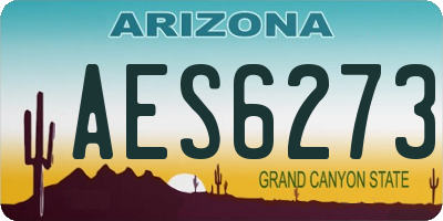 AZ license plate AES6273
