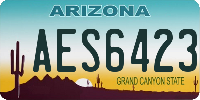 AZ license plate AES6423