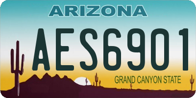 AZ license plate AES6901