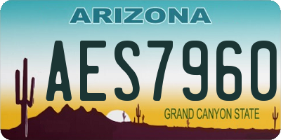 AZ license plate AES7960
