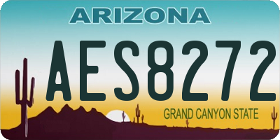 AZ license plate AES8272