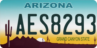 AZ license plate AES8293