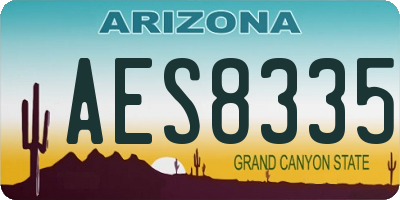 AZ license plate AES8335