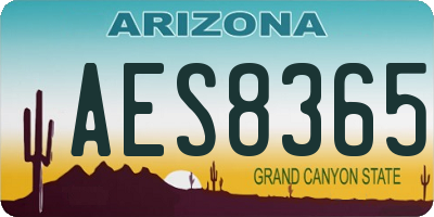 AZ license plate AES8365