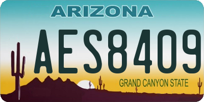 AZ license plate AES8409