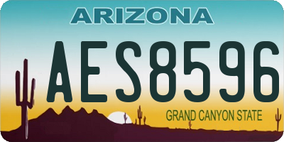 AZ license plate AES8596