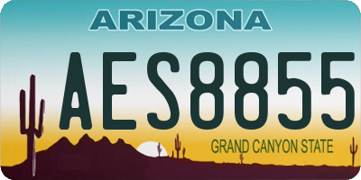 AZ license plate AES8855
