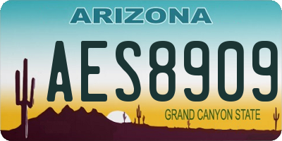 AZ license plate AES8909