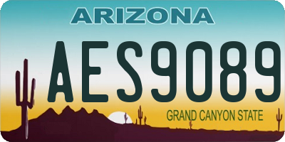 AZ license plate AES9089