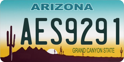 AZ license plate AES9291