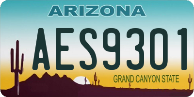 AZ license plate AES9301