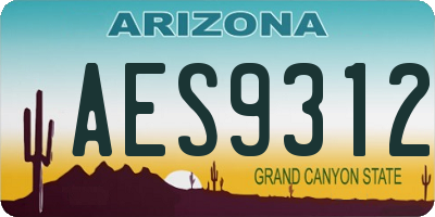 AZ license plate AES9312