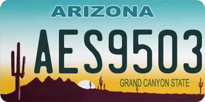 AZ license plate AES9503