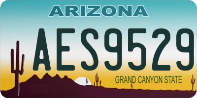 AZ license plate AES9529