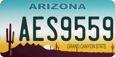 AZ license plate AES9559