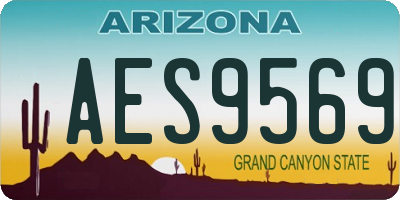 AZ license plate AES9569