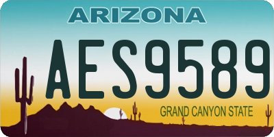 AZ license plate AES9589