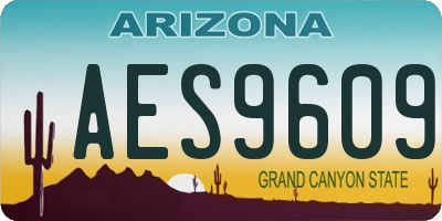AZ license plate AES9609