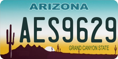 AZ license plate AES9629