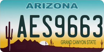 AZ license plate AES9663