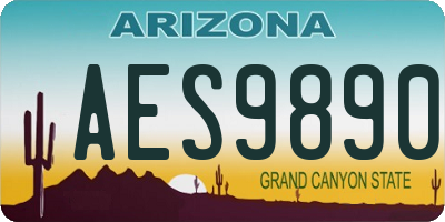AZ license plate AES9890