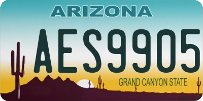 AZ license plate AES9905