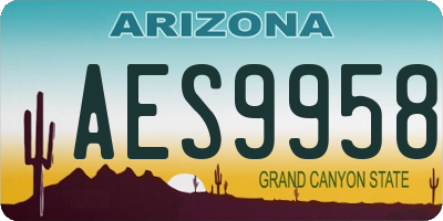 AZ license plate AES9958