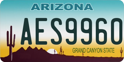 AZ license plate AES9960