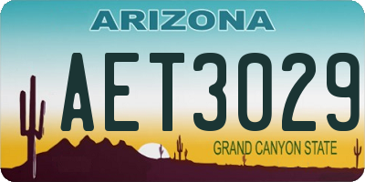 AZ license plate AET3029