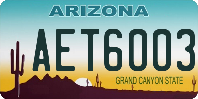 AZ license plate AET6003