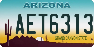 AZ license plate AET6313