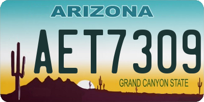 AZ license plate AET7309