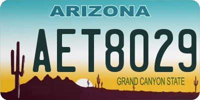 AZ license plate AET8029