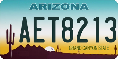 AZ license plate AET8213