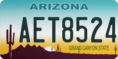 AZ license plate AET8524