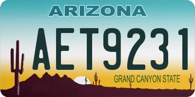 AZ license plate AET9231
