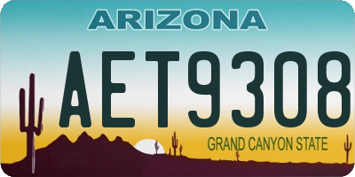 AZ license plate AET9308