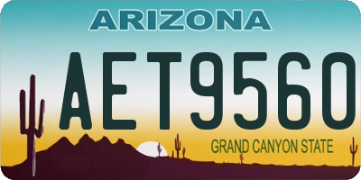 AZ license plate AET9560