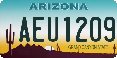 AZ license plate AEU1209