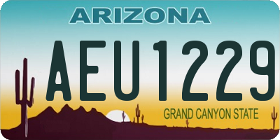 AZ license plate AEU1229