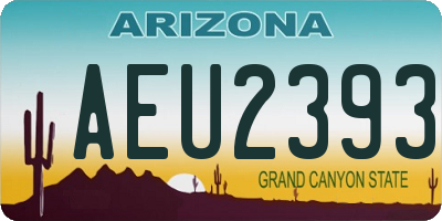 AZ license plate AEU2393