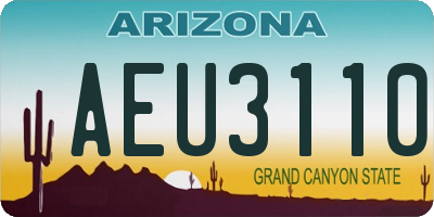 AZ license plate AEU3110