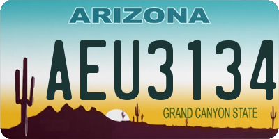 AZ license plate AEU3134