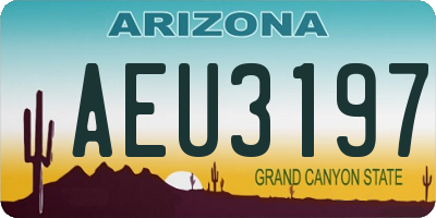 AZ license plate AEU3197