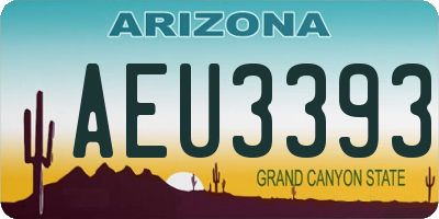 AZ license plate AEU3393