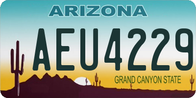 AZ license plate AEU4229